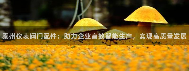 新宝gg平台