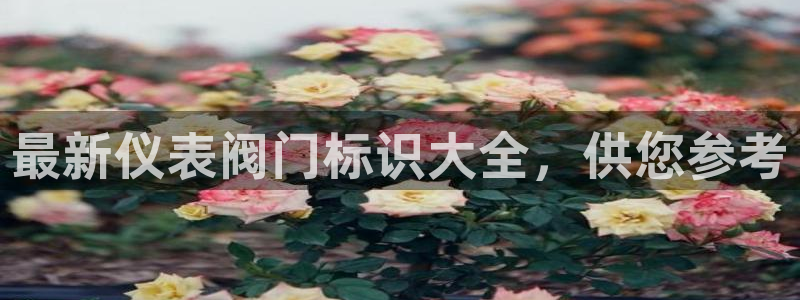 新宝gg注销