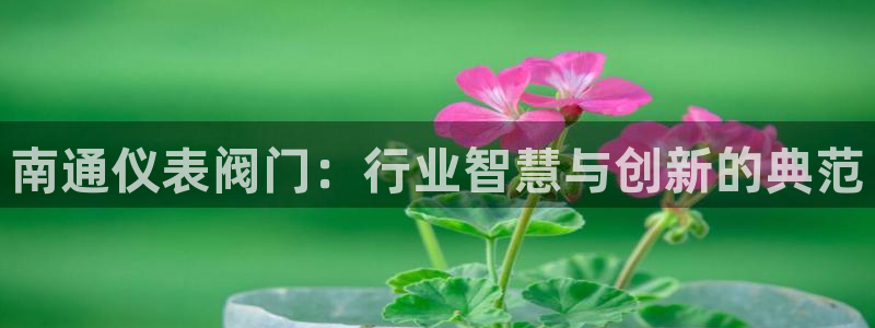 新宝GG勒55312