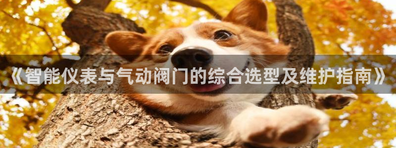 新宝gg娱乐平台