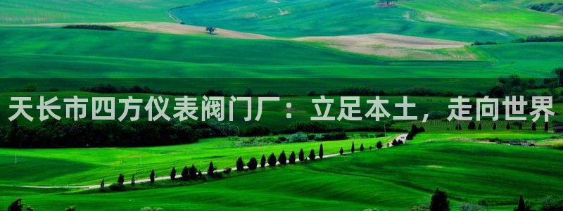 新宝gg作弊