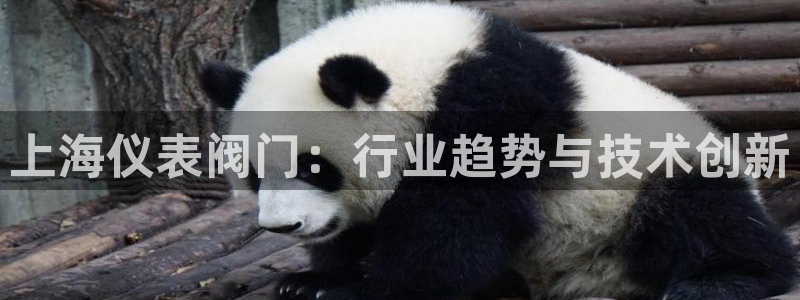 新宝gg违法