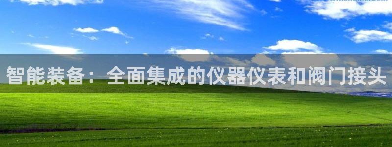 新宝gg官方下载