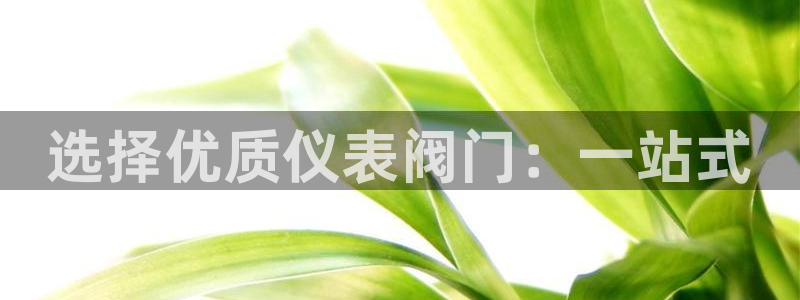 新宝gg图片