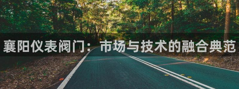 新宝gg辅助