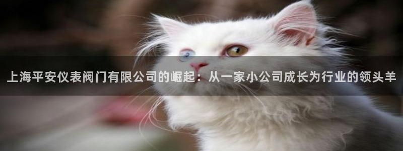 新宝GG娱乐-上皇巢网