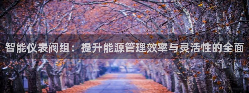 新宝GG反点