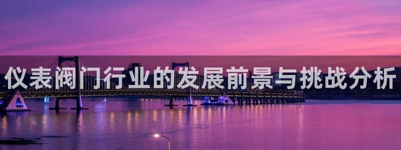 新宝gg成立