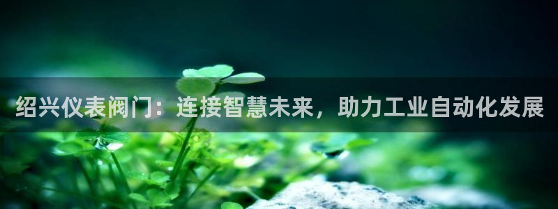 新宝GG反点