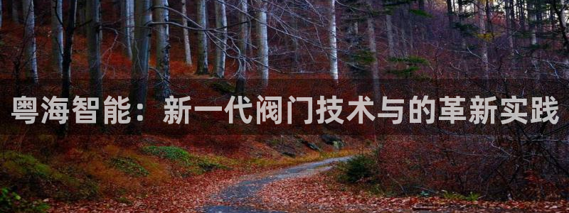 新宝gg评论