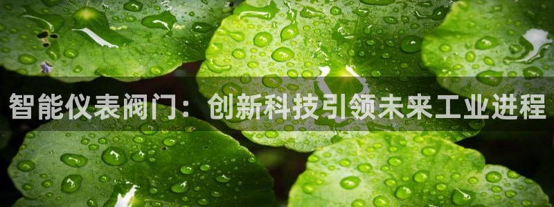新宝gg开户流程
