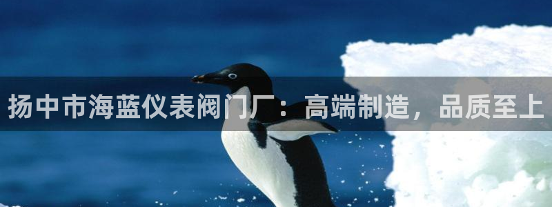 新宝GG网页