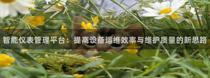 新宝gg平台下载安装