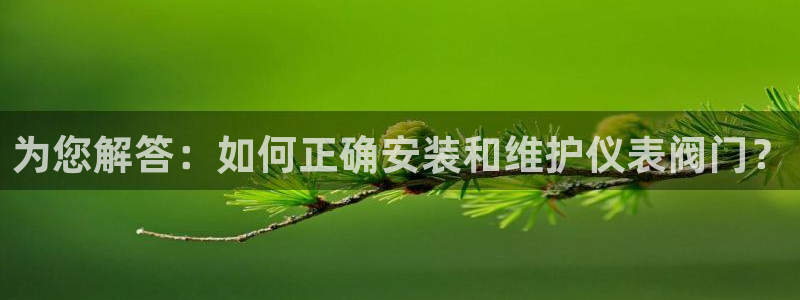 新宝gg龙虎规则