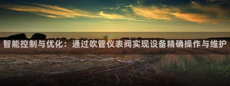 新宝gg是新宝几