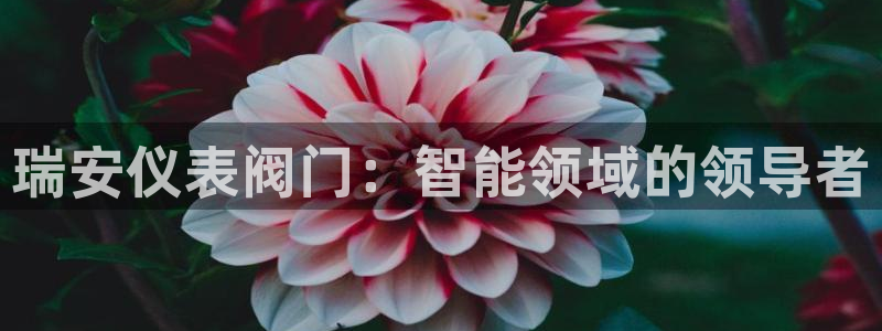 新宝gg 首页