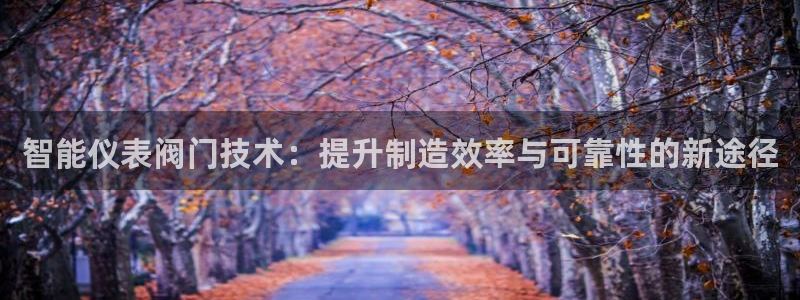 新宝gg工资