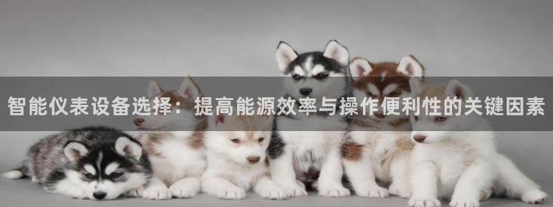 新宝gg代理