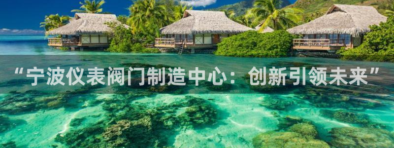 新宝gg软件下载