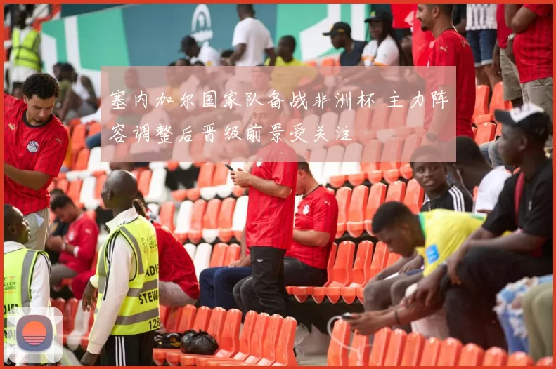 塞内加尔国家队备战非洲杯 主力阵容调整后晋级前景受关注