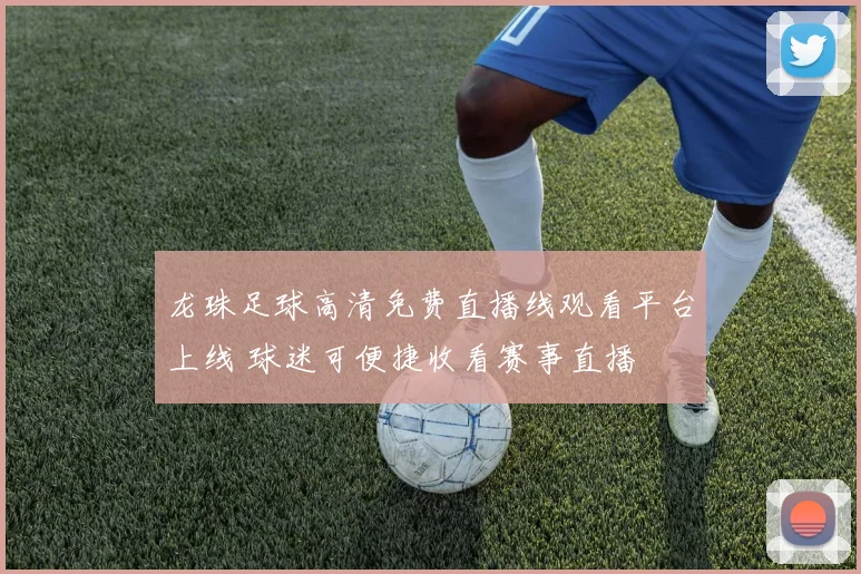 龙珠足球高清免费直播线观看平台上线 球迷可便捷收看赛事直播